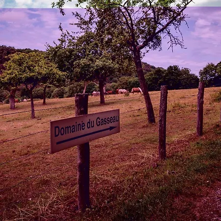Tatil Evi Confortable Avec Wi-fi, Sauna, Proche Activites Nature - Fr-1-410-472 Saint-Léonard-des-Bois